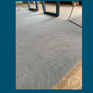 Aktion "Teppich vom WEF“